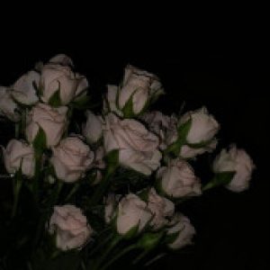 Profile photo of sabrina siti fadhilah