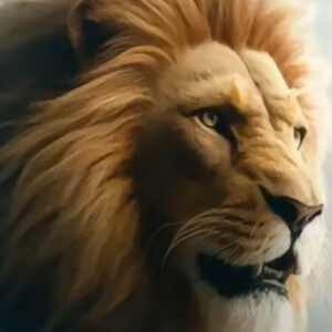 Profile photo of muhamad yahya