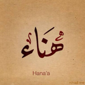 Profile photo of Farhana Muhamad Bilfagih