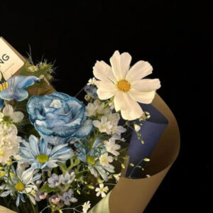 Profile photo of chai XiaoQi